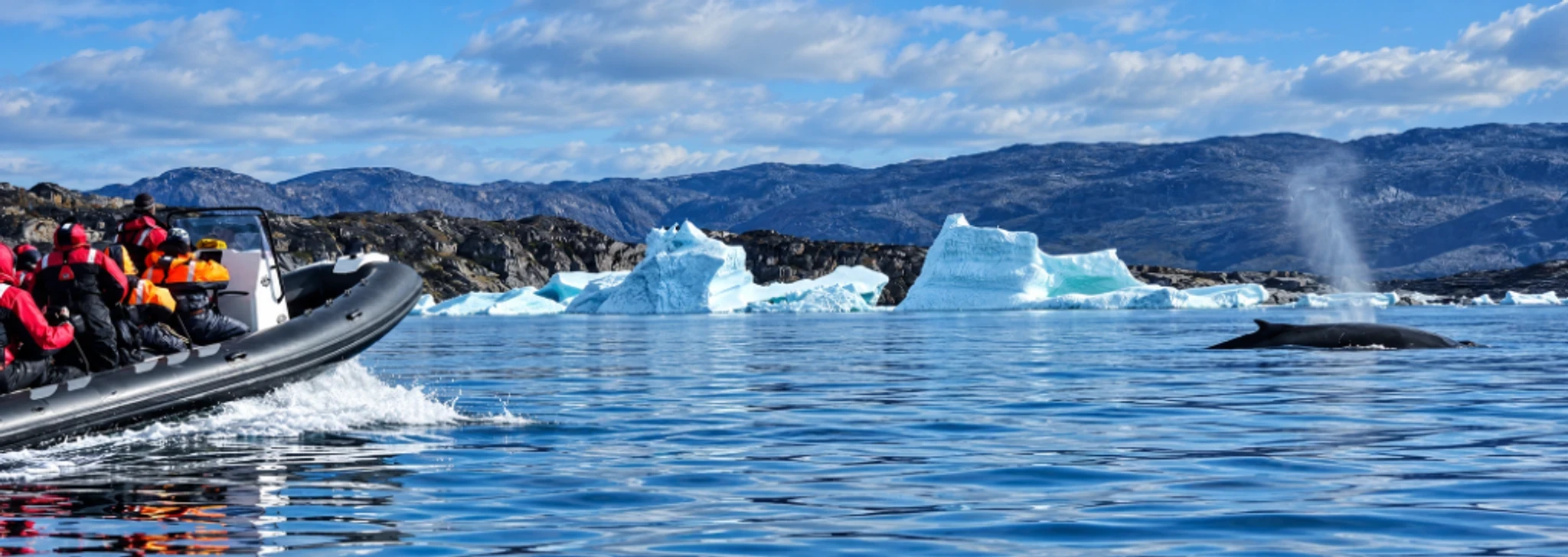 Passengers in an inflatable boat near icebergs and a surfacing whale.