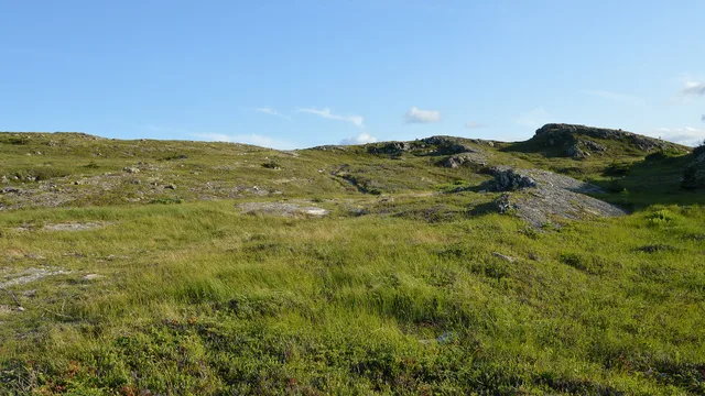 Coastline at Bay Roberts